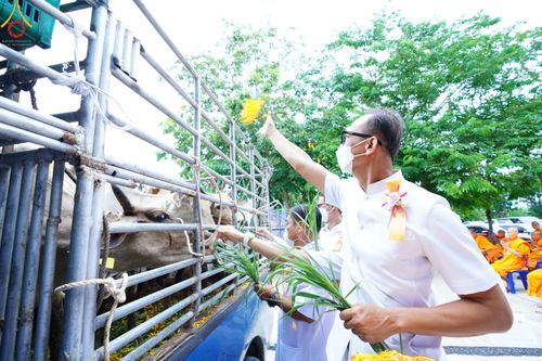 ภาพ No.50062:ประมวลภาพพิธีทอดผ้าป่าบำรุงศูนย์ฉลองครบรอบ 11 ปี ศูนย์อบรมเยาวชนนครปฐม