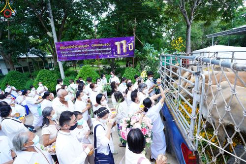 ภาพ No.50065:ประมวลภาพพิธีทอดผ้าป่าบำรุงศูนย์ฉลองครบรอบ 11 ปี ศูนย์อบรมเยาวชนนครปฐม