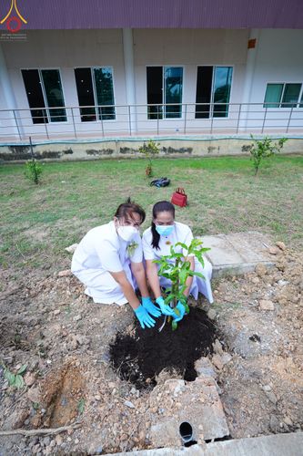 ภาพ No.50097:ประมวลภาพพิธีทอดผ้าป่าบำรุงศูนย์ฉลองครบรอบ 11 ปี ศูนย์อบรมเยาวชนนครปฐม