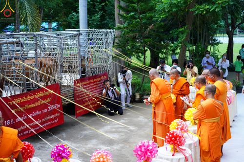 ภาพ No.50176:ประมวลภาพพิธีเจริญพระพุทธมนต์ ปีที่ 18 ณ ศูนย์อบรมเยาวชนผาสุกวนิช จ.ราชบุรี