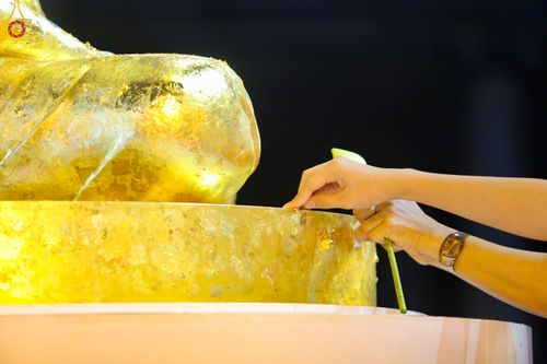 ภาพ No.51454:ประมวลภาพพิธีเจริญพระพุทธมนต์ และพิธีจุดประทีปบูชาธรรม พระมงคลเทพมุนี (สด จนฺทสโร) พระผู้ปราบมาร  เนื่องในวันครูผู้ค้นพบวิชชาธรรมกาย