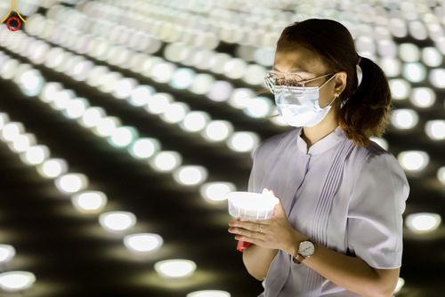 ภาพ No.51501:ประมวลภาพพิธีเจริญพระพุทธมนต์ และพิธีจุดประทีปบูชาธรรม พระมงคลเทพมุนี (สด จนฺทสโร) พระผู้ปราบมาร  เนื่องในวันครูผู้ค้นพบวิชชาธรรมกาย