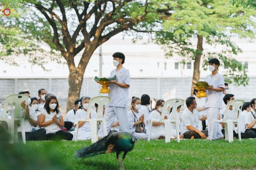 ภาพ No.80039:พิธีตัดปอยผมและปลงผมนาคธรรมทายาท โครงการอุปสมบทหมู่ธรรมทายาท พุทธศาสตร์สากลรุ่นที่ 7 (ภาคฤดูร้อน) วันอาทิตย์ที่ 9 เมษายน พ.ศ.2566