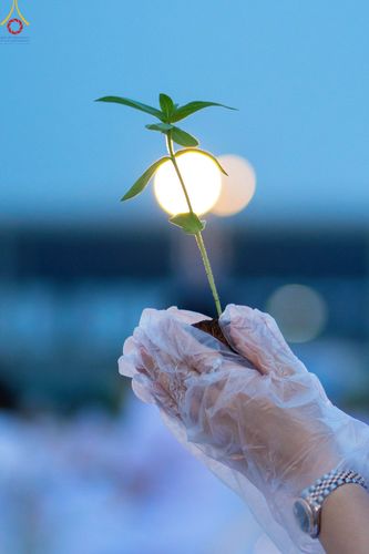 ภาพ No.90175:พิธีปลูกทรัพย์บานชื่น  เนื่องใน 139 ปี วันคล้ายวันเกิดด้วยรูปกายเนื้อ พระมงคลเทพมุนี (สด จนฺทสโร) พระผู้ปราบมาร วันอังคารที่ 10 ตุลาคม พ.ศ. 2566 ณ วัดพระธรรมกาย จ.ปทุมธานี