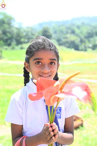 ภาพ No.284306:วันที่ 28 ตุลาคม พ.ศ.2568 กฐินสมทบต่างประเทศ โดยคณะศิษยานุศิษย์ บูชาธรรม 81 ปี หลวงพ่อธัมมชโย ณ วัดศรีสุคตาราม บาลังโกด้า ศรีลังกา