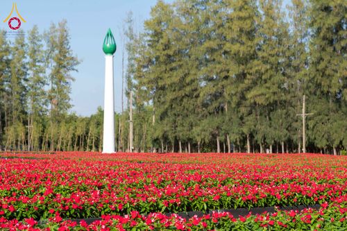 ภาพ No.279401:วันที่ 19-26 ธันวาคม พ.ศ. 2568 และ วันที่ 1 มกราคม พ.ศ.2569 รับบุญปลิดกลีบดอกไม้ เพื่อโปรยต้อนรับพระธรรมยาตรา