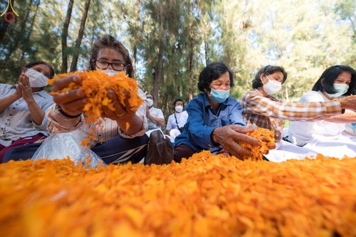 ภาพ No.70799:พิธีต้อนรับพระธรรมยาตรา ในโครงการธรรมยาตรากตัญญูบูชา มหาปูชนียาจารย์ พระมงคลเทพมุนี(สด จนฺทสโร) พระผู้ปราบมาร อนุสรณ์สถาน 7 แห่ง ปีที่ 11 วันที่ 14 มกราคม พ.ศ. 2566 ณ อนุสรณ์สถานลำดับที่ 3 สถานที่เกิดในเพศสมณะ วัดสองพี่น้อง อ.สองพี่น้อง จ.สุพรรณบุรี