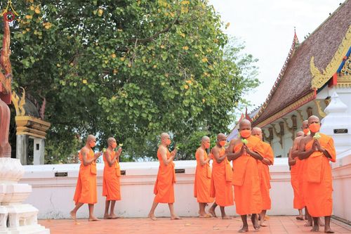 ภาพ No.66026:พิธีอุปสมบทวัดป่าโมกวรวิหาร อ.ป่าโมก จ.อ่างทอง รับบุญจัดงานโดยสำนักศรัทธาภิบาล เมื่อวันที่ 7 ธันวาคม พ.ศ.2565