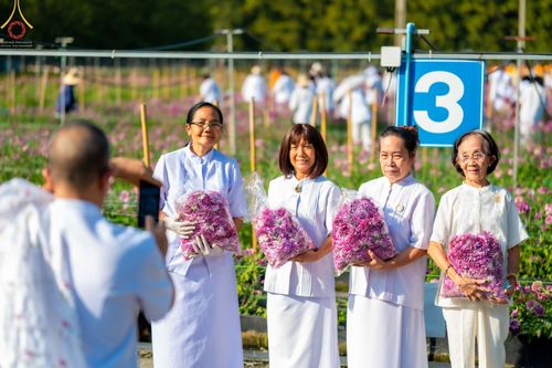 ภาพ No.66652:สาธุชนรับบุญตัดดอกทรัพย์บานชื่น ระหว่างวันที่ 9-10 ธันวาคม พ.ศ. 2565 ณ วัดพระธรรมกาย