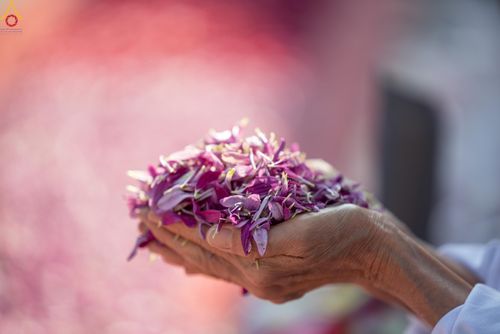 ภาพ No.292767:วันที่ 11 มกราคม พ.ศ. 2569 พิธีต้อนรับพระธรรมยาตรา ณ อนุสรณ์สถานลำดับที่ 3 สถานที่เกิดในเพศสมณะ วัดสองพี่น้อง อำเภอสองพี่น้อง จังหวัดสุพรรณบุรี ในโครงการธรรมยาตรา กตัญญูบูชา มหาปูชนียาจารย์ พระมงคลเทพมุนี(สด จนฺทสโร) พระผู้ปราบมาร อนุสรณ์สถาน 7 แห่ง ปีที