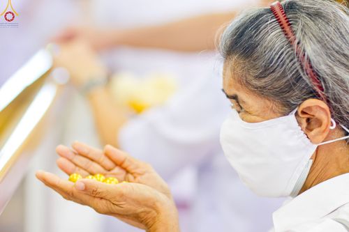 ภาพ No.82387:พิธีหล่อพระประธานเพื่อประดิษฐาน ณ มหาวิหารคด วันอาทิตย์ที่ 11 มิถุนายน พ.ศ. 2566 ณ สภาธรรมกายสากล วัดพระธรรมกาย