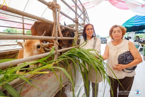 ภาพ No.161180:พิธีถวายมหาสังฆทาน 31 วัด , พิธีบุพเปตพลี , พิธีไถ่ชีวิตโค และ ปล่อยพันธ์ุปลาจำนวน 50,000 ชีวิต ณ ศูนย์การศึกษาจอมบึง ต.รางบัว อ.จอมบึง จ.ราชบุรี วันที่ 28 กันยายน พ.ศ. 2567