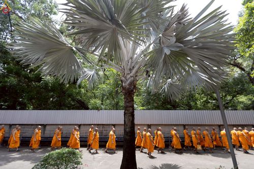 ภาพ No.229798:วันที่ 25 มิถุนายน พ.ศ. 2568 (แรม 15 ค่ำ เดือน 7) พิธีบุพเปตพลี ครั้งที่ 166 ร่วมอุทิศบุญแด่หมู่ญาติที่ล่วงลับไปแล้ว และสืบทอดอายุพระพุทธศาสนา ณ หอฉันคุณยายอาจารย์ฯ วัดพระธรรมกาย