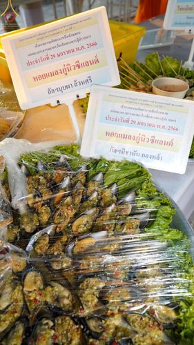 ภาพ No.74975:พิธีถวายภัตตาหารเป็นสังฆทาน แด่คณะพระธรรมยาตราฯ ในโครงการธรรมยาตรากตัญญูบูชา มหาปูชนียาจารย์ พระมงคลเทพมุนี(สด จนฺทสโร) พระผู้ปราบมาร อนุสรณ์สถาน 7 แห่ง ปีที่ 11 วันที่ 29 มกราคม พ.ศ. 2566