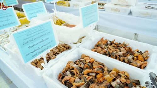 ภาพ No.71022:พิธีถวายภัตตาหารเป็นสังฆทาน แด่คณะพระธรรมยาตราฯ ในโครงการธรรมยาตราฯ ปีที่ 11 ณ อนุสรณ์สถานคลองบางนางแท่น อ.สามพราน จ.นครปฐม วันที่ 13 มกราคม พ.ศ. 2566