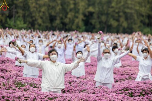 ภาพ No.104039:สาธุชนร่วมรับบุญเก็บดอกเบญจทรัพย์ ในวันอาทิตย์ที่ 24 ธันวาคม พ.ศ. 2566 ณ ทุ่งสวรรค์ตะวันฉาย บริเวณวัดพระธรรมกาย จ.ปทุมธานี