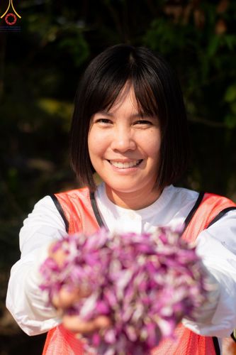 ภาพ No.206102:HAPPY FACE @ธรรมยาตรา # 1 ในโครงการธรรมยาตรา กตัญญูบูชา มหาปูชนียาจารย์ พระมงคลเทพมุนี(สด จนฺทสโร) พระผู้ปราบมาร อนุสรณ์สถาน 7 แห่ง ปีที่ 13 ระหว่างวันที่ 2-31 มกราคม พ.ศ. 2568