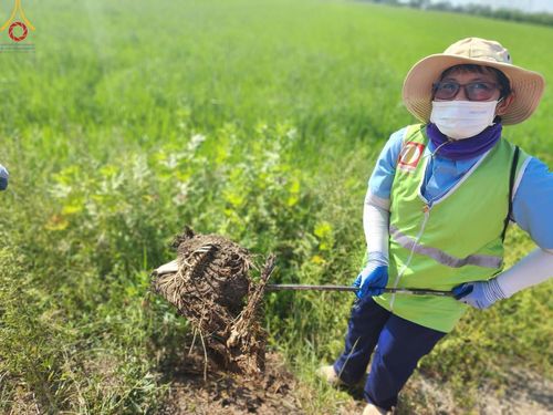 ภาพ No.115798:V.15 สามัคคี การเตรียมงาน เก็บงาน การรับบุญของเจ้าหน้าที่หน่วยงานต่างๆ เพื่อโครงการธรรมยาตรา กตัญญูบูชามหาปูชนียาจารย์ พระมงคลเทพมุนี (สด จนฺทสโร) พระผู้ปราบมาร อนุสรณ์สถาน 7 แห่ง ปีที่ 12 ระหว่างวันที่ 2 - 31 มกราคม พ.ศ.2567