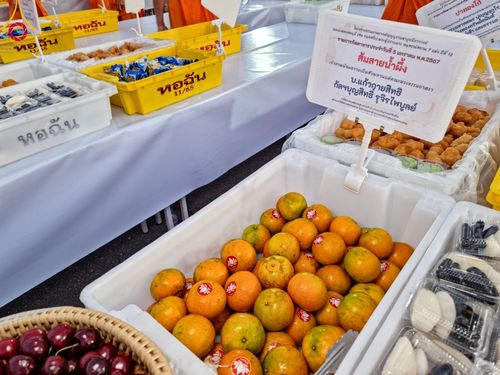 ภาพ No.106711:พิธีถวายภัตตาหารเป็นสังฆทาน แด่คณะพระธรรมยาตราฯ ในโครงการธรรมยาตรากตัญญูบูชา มหาปูชนียาจารย์ พระมงคลเทพมุนี(สด จนฺทสโร) พระผู้ปราบมาร อนุสรณ์สถาน 7 แห่ง ปีที่ 12 วันที่ 6 มกราคม พ.ศ. 2567 ณ อนุสรณ์สถานโลตัสแลนด์ จ.สุพรรณบุรี