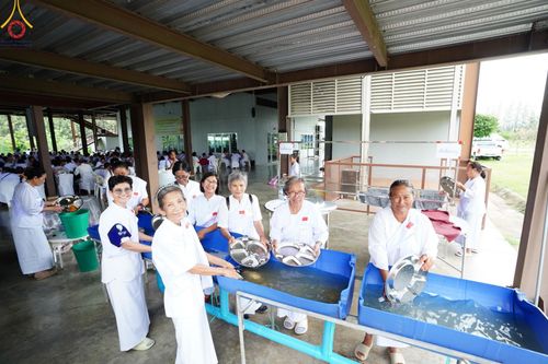 ภาพ No.152304:โครงการอบรมอุบาสก อุบาสิกาแก้ว ตัวแทนทอดกฐิน 30,000 วัด ทั่วไทย ระหว่างวันที่ 6-8 กันยายน พ.ศ. 2567 ณ ศูนย์อบรมเยาวชนกาญจนบุรี