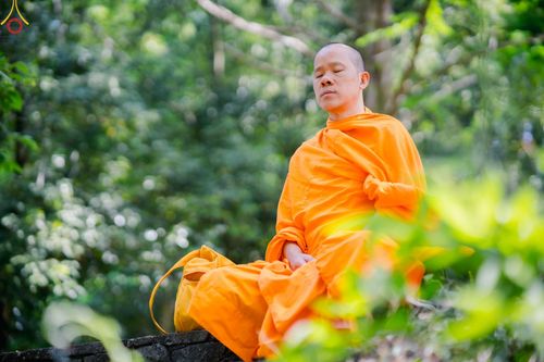 ภาพ No.136479:คณะพระภิกษุสงฆ์และกัลยาณมิตรชาวสิงคโปร์ เดินทางมาปฏิบัติธรรม ณ วัดป่าธรรมกายนานาชาติโทชิหงิ ประเทศญี่ปุ่น ระหว่างวันที่ 27 เมษายน  - 2 พฤษภาคม พ.ศ. 2567