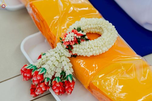 ภาพ No.227693:วันเสาร์ที่ 31 พฤษภาคม พ.ศ.2568 พิธีถวายผ้าไตรแด่สามเณรผู้เข้ารับการอุปสมบท , พิธีอุปสมบทสามเณรเตรียม DCI วัดพระธรรมกาย จ.ปทุมธานี