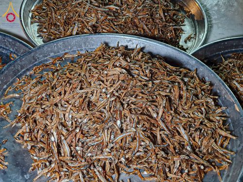 ภาพ No.198319:พิธีถวายภัตตาหารเป็นสังฆทาน แด่พระธรรมยาตรา ณ อนุสรณ์สถานบางปลา วัดบางปลา อำเภอบางเลน จังหวัดนครปฐม ในโครงการธรรมยาตรา กตัญญูบูชา มหาปูชนียาจารย์ พระมงคลเทพมุนี(สด จนฺทสโร) พระผู้ปราบมาร อนุสรณ์สถาน 7 แห่ง ปีที่ 13 วันที่ 20 มกราคม พ.ศ. 2568