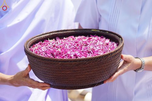 ภาพ No.128996:พระธรรมยาตราเดินธรรมยาตรา ณ ชุมชนรอบศูนย์ปฏิบัติธรรมภาคใต้ อ.บางกล่ำ จ.สงขลา วันที่ 10 มีนาคม พ.ศ. 2567