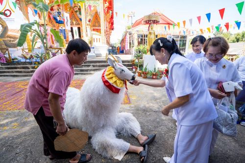 ภาพ No.94838:พิธีทอดกฐินสามัคคีทั่วไทย 5,000 วัด วัดวังทอง อ.ท่าวังผา จ.น่าน วันที่ 12 พฤศจิกายน พ.ศ. 2566