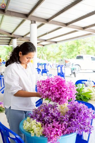 ภาพ No.245163:วันเสาร์ที่ 13 กันยายน พ.ศ. 2568 พิธีถวายสังฆทานแด่คณะสงฆ์ 323 วัด ปีที่ 21 ครั้งที่ 181 พิธีมอบกองทุนหนุนแรงใจช่วยครูใต้ ปีที่ 18 ครั้งทึ่ 144 และพิธีทำบุญอุทิศส่วนกุศลให้ผู้วายชนม์ ณ ศูนย์ปฏิบัติธรรมภาคใต้ จ.สงขลา