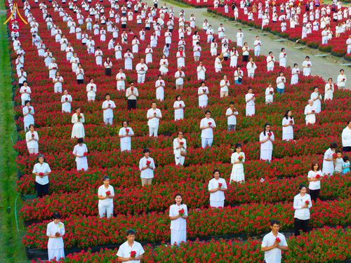 ภาพ No.185459:กิจกรรมเก็บดอกแพงรวย วันอาทิตย์ที่ 22 ธันวาคม พ.ศ. 2567 ณ ทุ่งสวรรค์ ตะวันฉาย วัดพระธรรมกาย