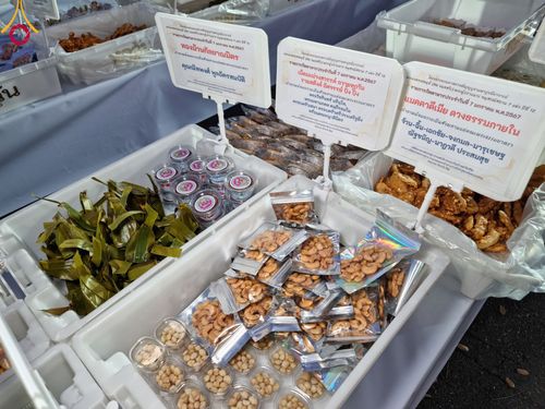 ภาพ No.108446:ถวายภัตตาหารเป็นสังฆทาน แด่คณะพระธรรมยาตราฯ ในโครงการธรรมยาตรากตัญญูบูชา มหาปูชนียาจารย์ พระมงคลเทพมุนี(สด จนฺทสโร) พระผู้ปราบมาร อนุสรณ์สถาน 7 แห่ง ปีที่ 12 วันที่ 7 มกราคม พ.ศ. 2567 ณ อนุสรณ์สถานโลตัสแลนด์ จ.สุพรรณบุรี