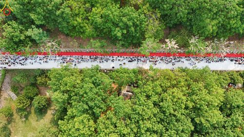 ภาพ No.135163: พิธีบรรพชาสามเณร  พิธีตักบาตรฉลองสามเณรใหม่ วันที่ 1 เมษายน พ.ศ.2567 ในโครงการบรรพชาสามเณรฟื้นฟูพระพุทธศาสนาทั่วไทย ณ ศูนย์ปฏิบัติธรรมแก้วเมืองเลย