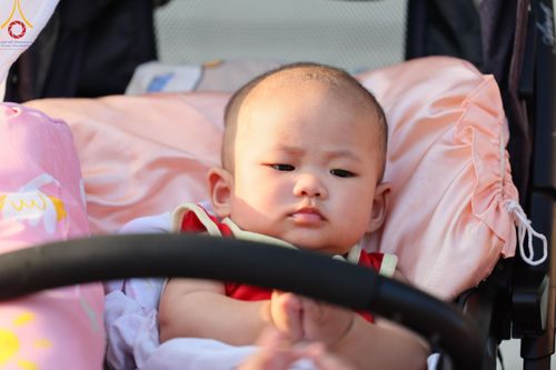 ภาพ No.113218:พิธีต้อนรับพระธรรมยาตรา ปีที่ 12 วันที่ 15 มกราคม พ.ศ. 2567 ณ วัดโบสถ์บน จ.นนทบุรี