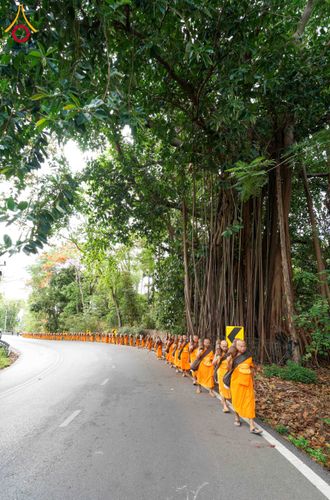 ภาพ No.329134:วันเสาร์ที่ 16 พฤษภาคม พ.ศ.2569 ธรรมยาตรา เดินดูดวงขึ้นดอยฉลองแชมป์บาลี วัดบ้านขุน อำเภอฮอด จังหวัดเชียงใหม่