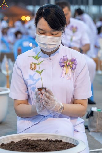 ภาพ No.90215:พิธีปลูกทรัพย์บานชื่น  เนื่องใน 139 ปี วันคล้ายวันเกิดด้วยรูปกายเนื้อ พระมงคลเทพมุนี (สด จนฺทสโร) พระผู้ปราบมาร วันอังคารที่ 10 ตุลาคม พ.ศ. 2566 ณ วัดพระธรรมกาย จ.ปทุมธานี