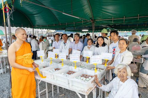 ภาพ No.301791:วันที่ 24 มกราคม พ.ศ. 2569 พิธีถวายภัตตาหารเป็นสังฆทาน แด่พระธรรมยาตรา ณ อนุสรณ์สถานบางปลา วัดบางปลา อำเภอบางเลน จังหวัดนครปฐม ในโครงการธรรมยาตรา กตัญญูบูชา มหาปูชนียาจารย์ พระมงคลเทพมุนี(สด จนฺทสโร) พระผู้ปราบมาร อนุสรณ์สถาน 7 แห่ง ปีที่ 14