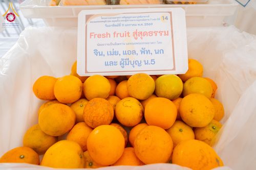 ภาพ No.292304:วันที่ 11 มกราคม พ.ศ. 2569 พิธีถวายภัตตาหารเป็นสังฆทาน แด่พระธรรมยาตรา ในโครงการธรรมยาตรา กตัญญูบูชา มหาปูชนียาจารย์ พระมงคลเทพมุนี(สด จนฺทสโร) พระผู้ปราบมาร อนุสรณ์สถาน 7 แห่ง ปีที่ 14 ณ  อนุสรณ์สถานลำดับที่ 2  สถานที่ตั้งมโนปณิธานบวชตลอดชีวิต อนุสรณ์สถ