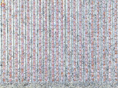 ภาพ No.279896:วันที่ 1 มกราคม พ.ศ.2569 พิธีตักบาตรในวันขึ้นปีใหม่ ณ ลานธรรม วัดพระธรรมกาย