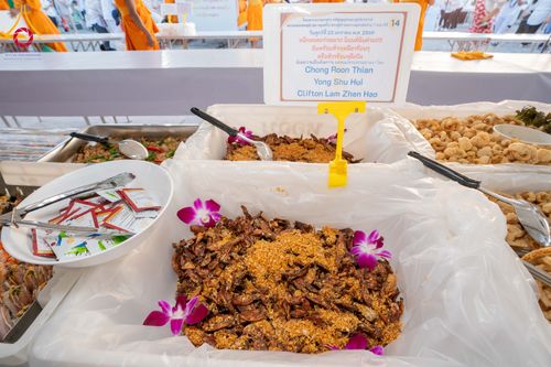 ภาพ No.301135:วันที่ 23 มกราคม พ.ศ. 2569 พิธีถวายภัตตาหารเป็นสังฆทาน แด่พระธรรมยาตรา ณ อนุสรณ์สถานบางปลา วัดบางปลา อำเภอบางเลน จังหวัดนครปฐม ในโครงการธรรมยาตรา กตัญญูบูชา มหาปูชนียาจารย์ พระมงคลเทพมุนี(สด จนฺทสโร) พระผู้ปราบมาร อนุสรณ์สถาน 7 แห่ง ปีที่ 14