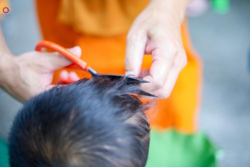 ภาพ No.317944:วันพฤหัสบดีที่ 2 เมษายน พ.ศ.2569 พิธีปลงผม , พิธีขอขมามอบบาตรและผ้าไตร , พิธีบรรพชาสามเณร จำนวน 28 รูป   ณ วัดโซกเป็ดอภิญญาโณ ต.เมืองเก่า อ.เมือง จ.สุโขทัย