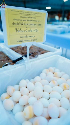 ภาพ No.69926:พิธีถวายภัตตาหารเป็นสังฆทาน แด่คณะพระธรรมยาตราฯ ในโครงการธรรมยาตราฯ ปีที่ 11 ณ อนุสรณ์สถานมหาวิหารพระมงคลเทพมุนี อ.สองพี่น้อง จ.สุพรรณบุรี วันที่ 9 มกราคม พ.ศ. 2566