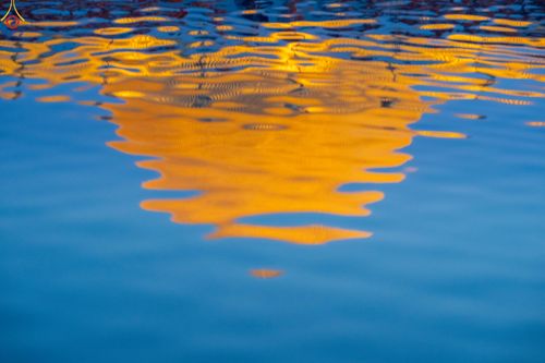 ภาพ No.279701:วันที่ 1 มกราคม พ.ศ.2569 พิธีตักบาตรในวันขึ้นปีใหม่ ณ ลานธรรม วัดพระธรรมกาย