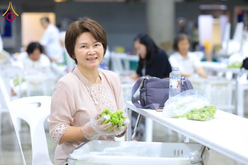 ภาพ No.303266:วันที่ 15-21 มกราคม พ.ศ.2569 ปลิดกลีบดอกเบญจทรัพย์ เพื่อโปรยต้อนรับพระธรรมยาตรา ในโครงการธรรมยาตรา กตัญญูบูชา มหาปูชนียาจารย์ พระมงคลเทพมุนี(สด จนฺทสโร) พระผู้ปราบมาร อนุสรณ์สถาน 7 แห่ง ปีที่ 14 ณ วิหารคด วัดพระธรรมกาย