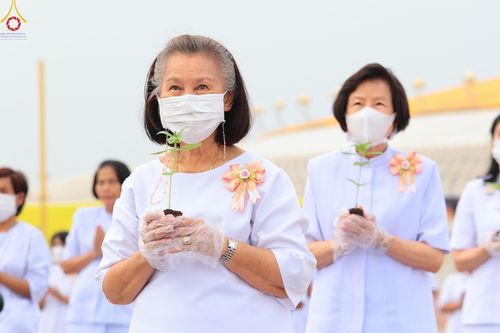 ภาพ No.90103:พิธีปลูกทรัพย์บานชื่น  เนื่องใน 139 ปี วันคล้ายวันเกิดด้วยรูปกายเนื้อ พระมงคลเทพมุนี (สด จนฺทสโร) พระผู้ปราบมาร วันอังคารที่ 10 ตุลาคม พ.ศ. 2566 ณ วัดพระธรรมกาย จ.ปทุมธานี