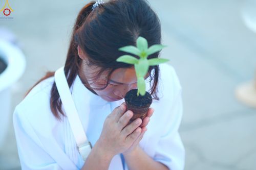 ภาพ No.90218:พิธีปลูกทรัพย์บานชื่น  เนื่องใน 139 ปี วันคล้ายวันเกิดด้วยรูปกายเนื้อ พระมงคลเทพมุนี (สด จนฺทสโร) พระผู้ปราบมาร วันอังคารที่ 10 ตุลาคม พ.ศ. 2566 ณ วัดพระธรรมกาย จ.ปทุมธานี