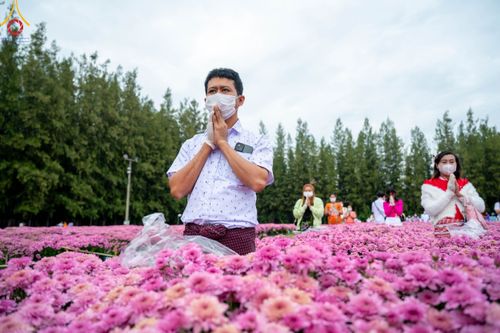 ภาพ No.104016:สาธุชนร่วมรับบุญเก็บดอกเบญจทรัพย์ ในวันอาทิตย์ที่ 24 ธันวาคม พ.ศ. 2566 ณ ทุ่งสวรรค์ตะวันฉาย บริเวณวัดพระธรรมกาย จ.ปทุมธานี