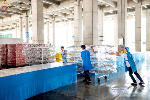 ภาพ No.218382:วันที่ 14-15 เมษายน พ.ศ. 2568 การเตรียมงานเครื่องเสียง , การเตรียมงานติดผ้ารับประเคน , การเตรียมงานเครื่องนอนพระสังฆาธิการ , การเตรียมงานจุดนั่งสาธุชน , การเตรียมงานถุงน้ำถ่วงน้ำหนักโต๊ะ , การเตรียมงานภาชนะฉันภัตตาหาร เพื่องานวันคุ้มครองโลก 22 เมษายน พ.ศ