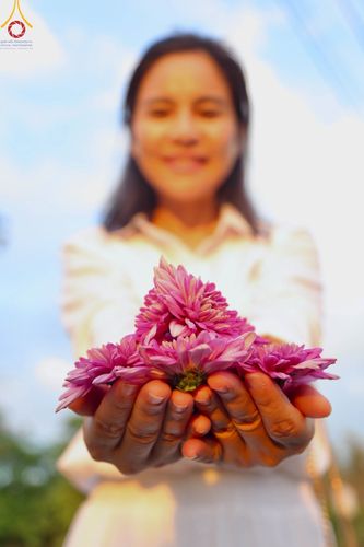 ภาพ No.102921:สาธุชนร่วมรับบุญเก็บดอกเบญจทรัพย์ ในวันที่ 19 ธันวาคม พ.ศ. 2566 (วันแรก) ณ บริเวณวัดพระธรรมกาย จ.ปทุมธานี