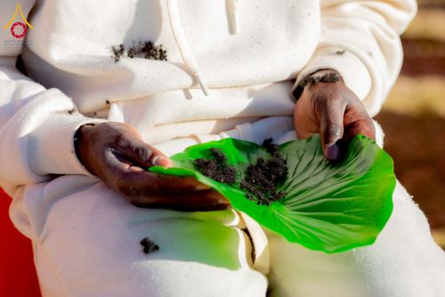 ภาพ No.231162:วันศุกร์ที่ 27 มิถุนายน พ.ศ. 2568 พิธีตัดปอยผมและพิธีปลงผมนาคธรรมทายาทแห่งทวีปแอฟริกา พ.ศ. 2568  โครงการบรรพชาอุปสมบทพระธรรมทายาทนานาชาติแห่งทวีปแอฟริกา ครั้งที่ 2 ณ วัดพระธรรมกายโจฮันเนสเบิร์ก สาธารณรัฐแอฟริกาใต้